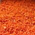 Red-Lentils-300x300