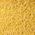 ellow-millet-grains-450x300